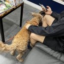 서재동물병원 이미지