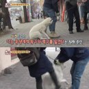 난전농장 이미지