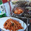 돼지새마을운동 네이버블로그