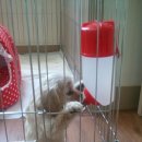 우리두리 이미지