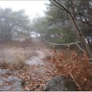 용두농축산 | 신의터재-지기재