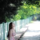 7080 포크콘서트 Daum카페