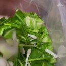 Romaine lettuce water kimchi 이미지