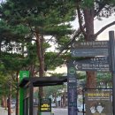 아담한가 | 서울 북촌 한옥마을 숙소 2인 독채 아담한가 예약 후기