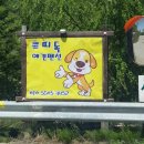 쁘띠독 | 가평 애견펜션 &lt; 쁘띠독펜션 &gt; 1박 솔직 후기