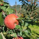 가정3-01-018 이미지