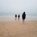 보령기원