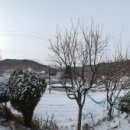 황토사랑 나무야 이미지