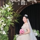 웨스턴베니비스 이미지