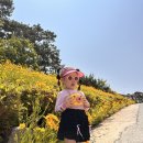 [거제도 이수도 여행 1편] &#34;아이와 함께한 1박 2일 섬 힐링 여행, 이수도섬펜션 후기