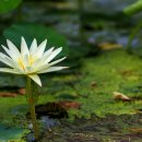 하나주유소 이미지