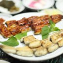 낙동강장어 이미지