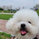 덕수공원 네이버블로그