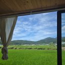 죽림어촌체험마을 | [여름가족여행 2일차] 진도 죽림어촌체험마을 조개캐기 &amp; 리빈카페 감성뷰, 쏠비치 야경까지 완벽한 하루