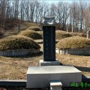 강징선생묘 및 신도비 이미지