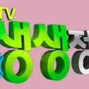 클린앤키즈유아식판세척업체 네이버블로그