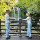 천제연화장실 | 제주 가볼만한 곳을 추천한다_천제연폭포