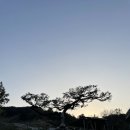 선운목장 이미지