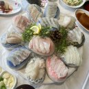 한진식당 | 당진 한진포구 횟집 정월식당 내돈내산 후기 :: 오션뷰 야장 맛집