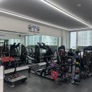 영바디짐 이미지