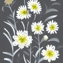 초량2동주민센터 이미지