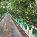 이레농장 이미지