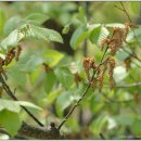 소사4로 이미지