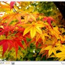 지성행정사사무소 이미지