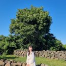 스테이 은월 : 오조 이미지