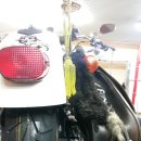 백마슈퍼 이미지