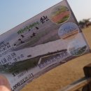 풍년짱뚱어 | 순천> 내 마음도 갈대♪