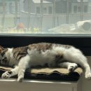 흥인탑이비인후과의원 이미지