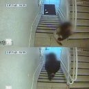 서초경찰서 화장실 이미지