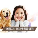 레스펫동물병원 이미지