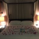 포시즌F&B 이미지