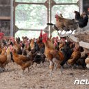 이종현농장 이미지