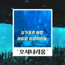 디오리움갤러리수족관 | 싱가포르 여행 오셔너리움 아쿠아리움 리뉴얼 후기 아이와 함께 가볼만한 곳