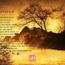 제주늘푸른음악회 이미지