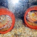 위드수산 이미지