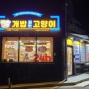 개밥파는고양이판교대장점