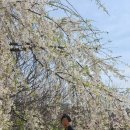 가례마을복지회관 이미지