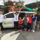 민들레여행 이미지