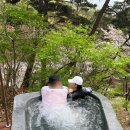 제천 포레스트 리솜 - 해브나인스파 할인꿀팁 프라이빗스톤 예약방법