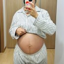 숙이네꼬마김밥&커피2호점 | [임신일기#35] 대전출장 + 강릉 태교여행까지 야무지게 다녀온 29주 일상