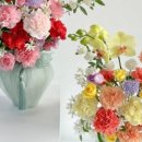 아인플로라 이미지