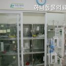 하니동물병원 | 목동동물병원 하니동물의료센터 안전한 동물 진료