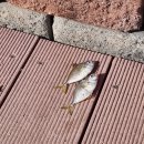 바다 빛이 고운, 통영 2박3일(1)