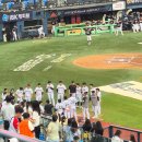 오렌지세탁소 | 오늘도 무적엘지 l 잠실 1루 오렌지(응원석) 206블럭 15열 직관후기