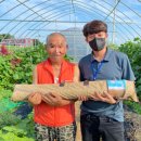 김포시북부노인복지관 이미지