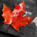 우산속으로 이미지